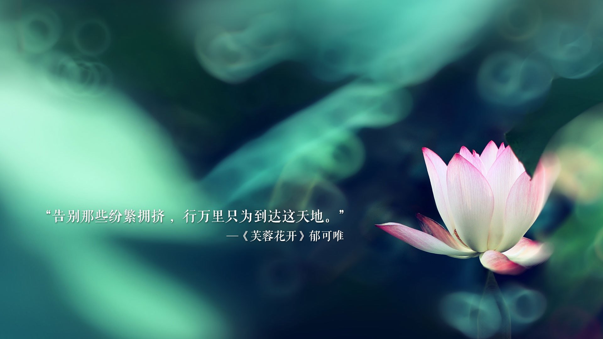 fb体育app官网-巴西队在2024年南美锦标赛中以6-2战胜意大利队获得银牌，巴西晋级决赛