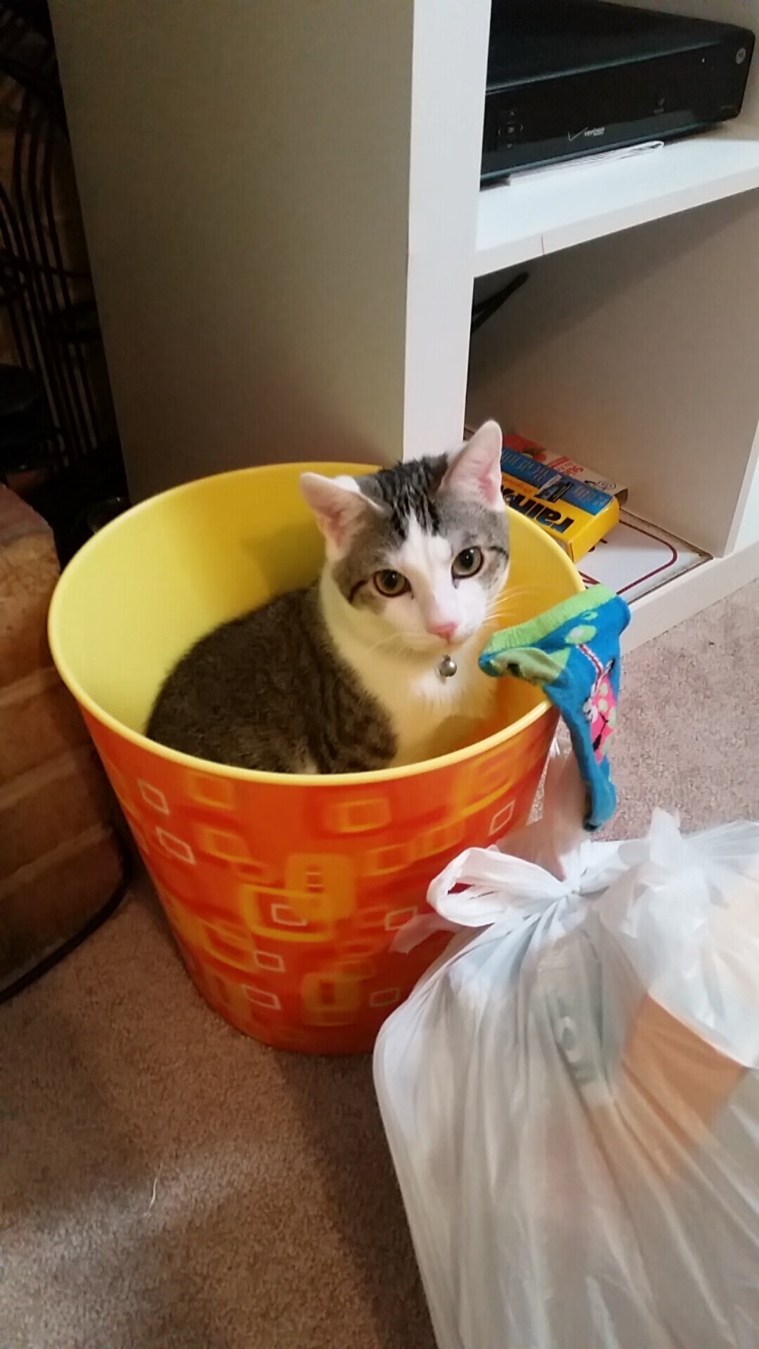 FB体育官网平台-切尔西客场挑战南安普顿,谁能占据上风?,切尔西vs南安普顿录像回放