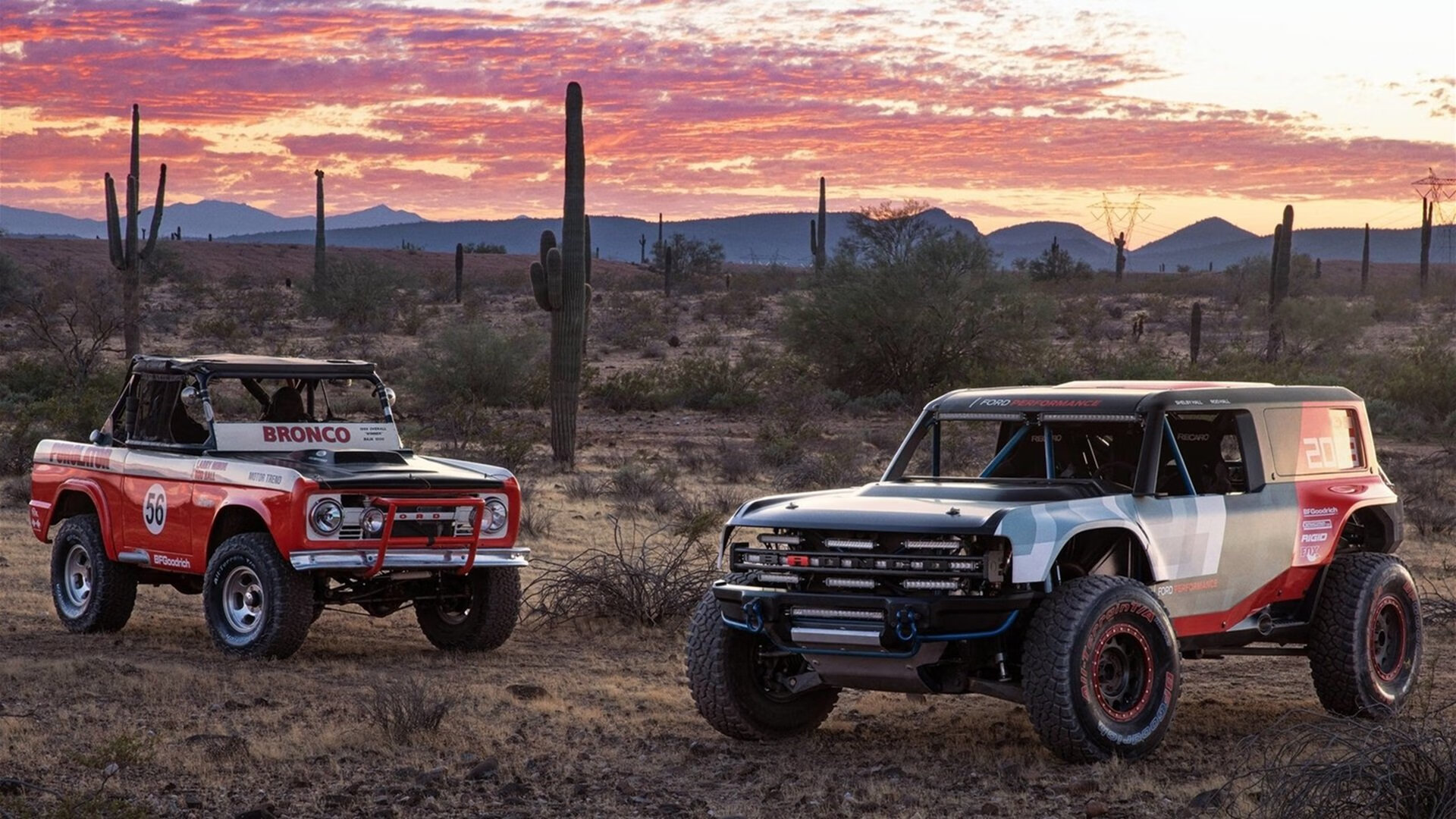 FB体育平台-官方橄榄球世界杯分组对阵，橄榄球世界杯美国队