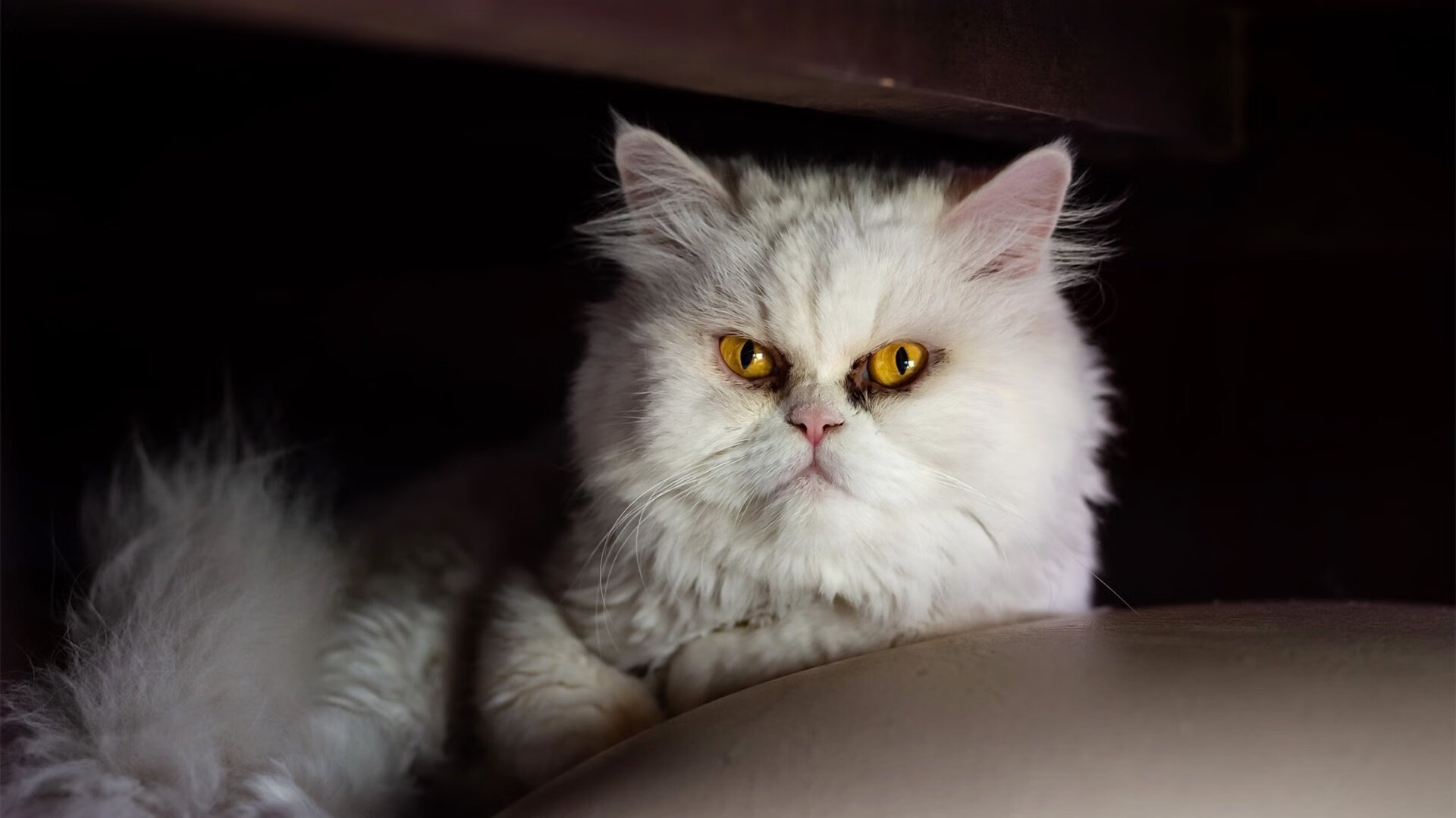 FB体育在线-强手如云！豪门球队之间的较量备受瞩目，豪门球队的别称