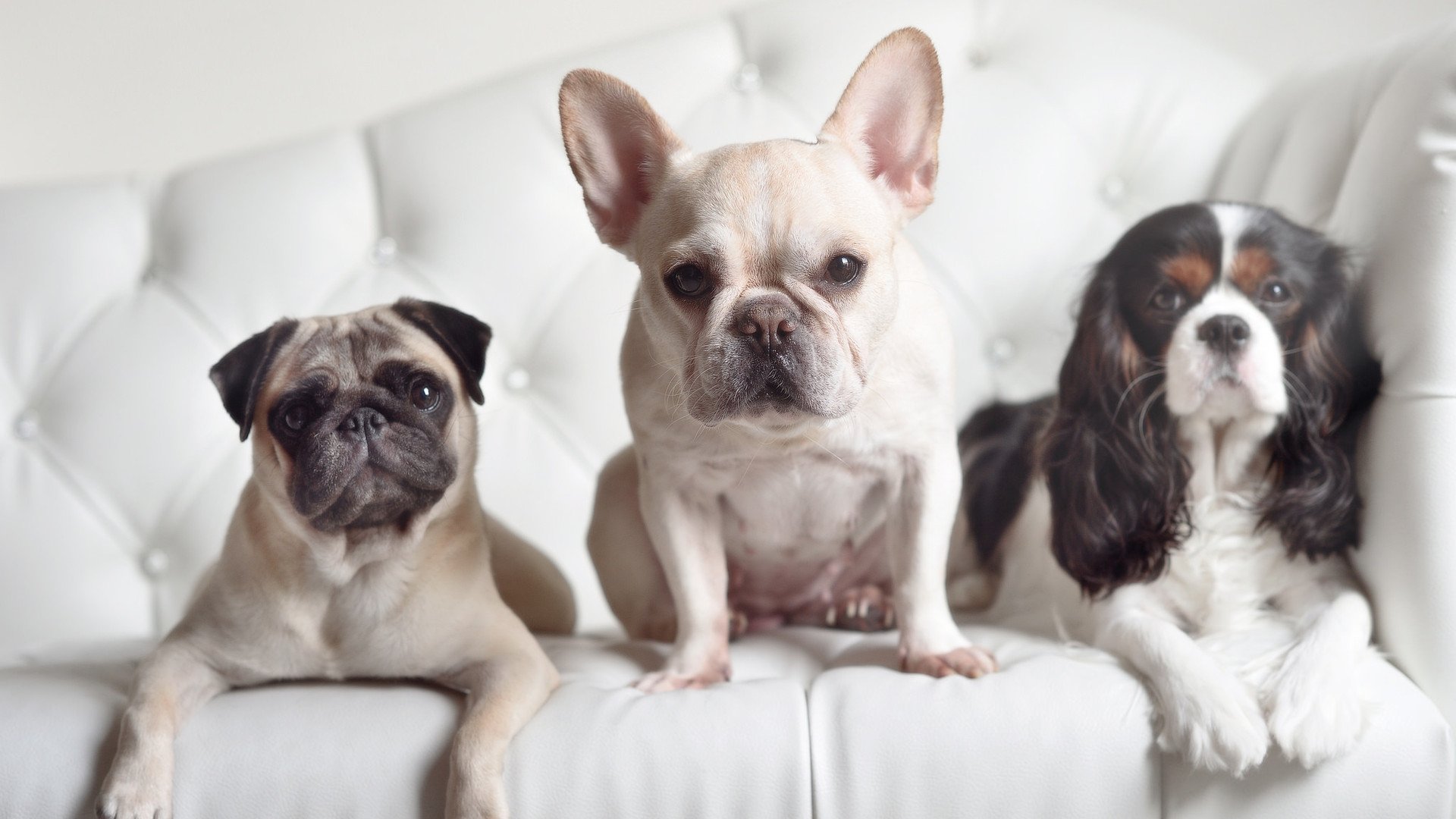 FB体育-拉文表现出色,带领球队拼搏至最后一刻,拉文是哪个队的队员