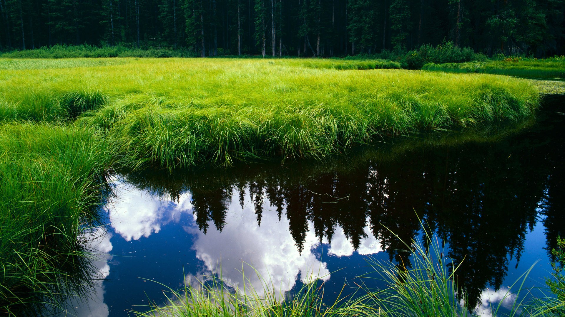 FB体育注册网址-日本队突破重围，赢得宝贵胜利！，日本队晋级