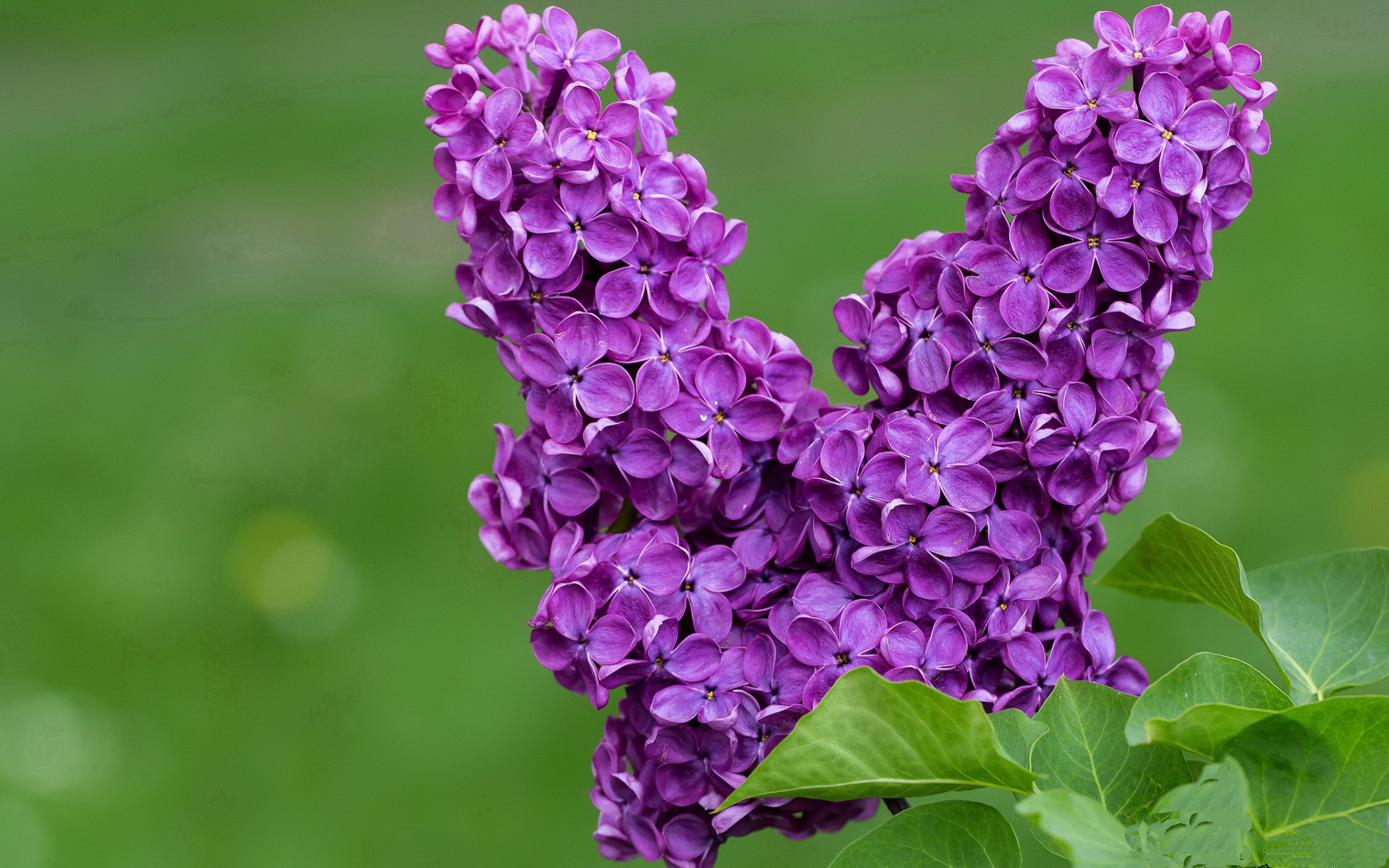 FB体育登录入口-德甲青训通过情绪自评报告干预比赛情绪波动