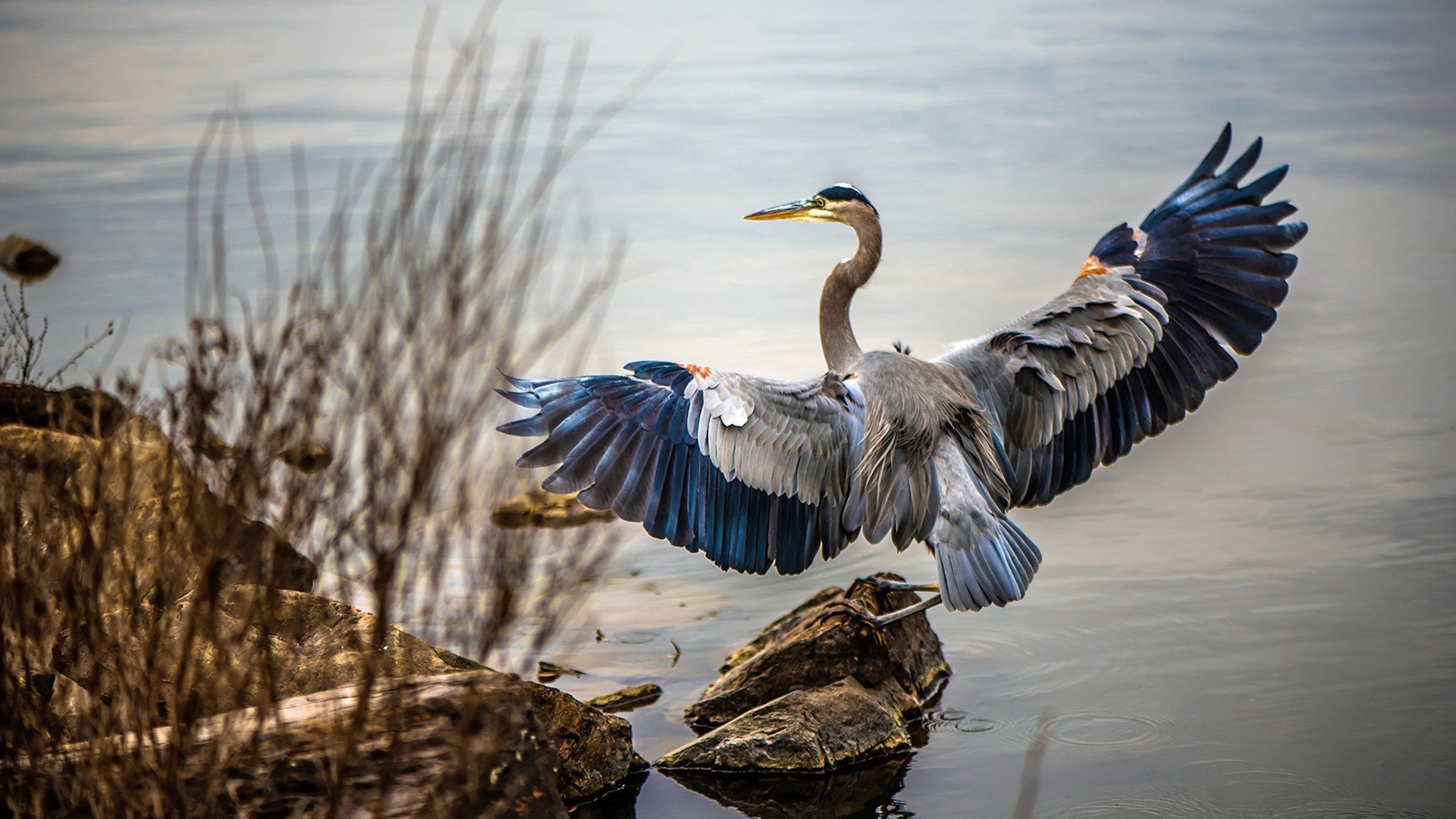 FB体育注册网址-中国三人女篮战术灵活 应对多变对手,中国三人女篮战术灵活 应对多变对手是谁