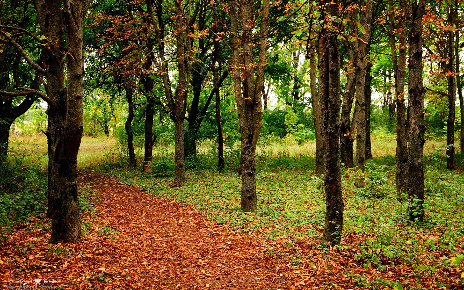 FB体育在线直播平台-体育新闻中心发布体育主题融媒体叙事方式研究报告,全体育媒体